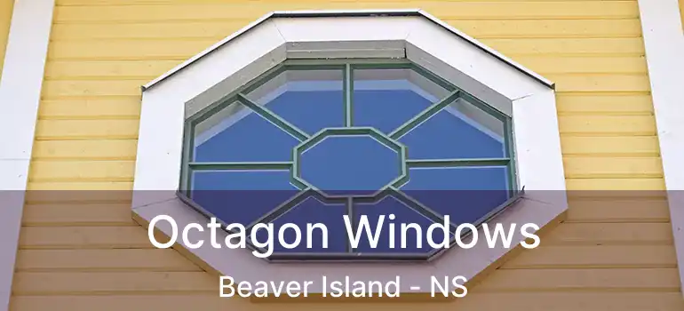  Octagon Windows Beaver Island - NS