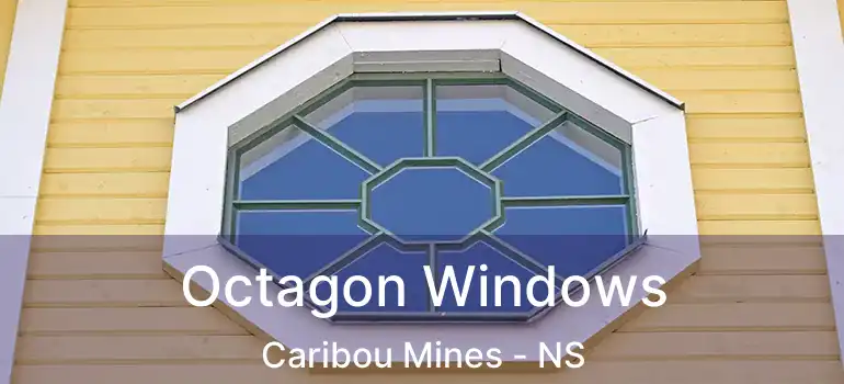  Octagon Windows Caribou Mines - NS