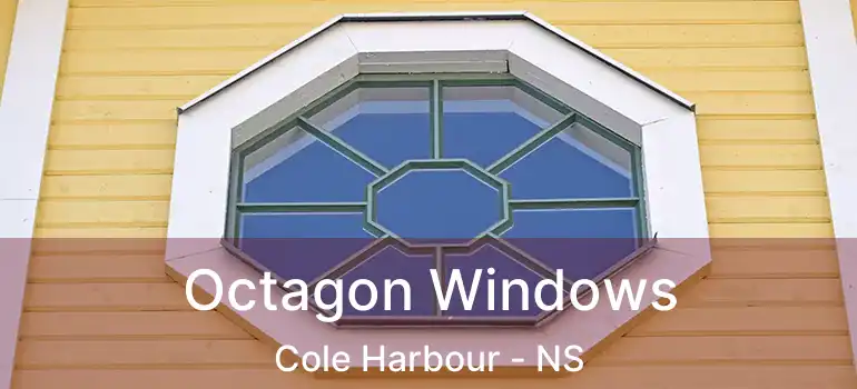  Octagon Windows Cole Harbour - NS