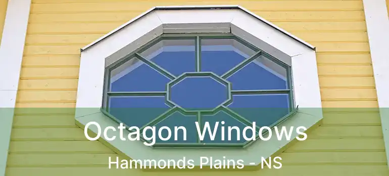  Octagon Windows Hammonds Plains - NS