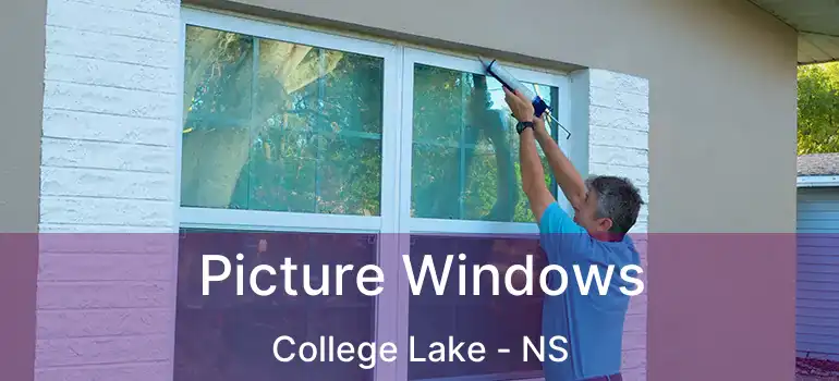  Picture Windows College Lake - NS