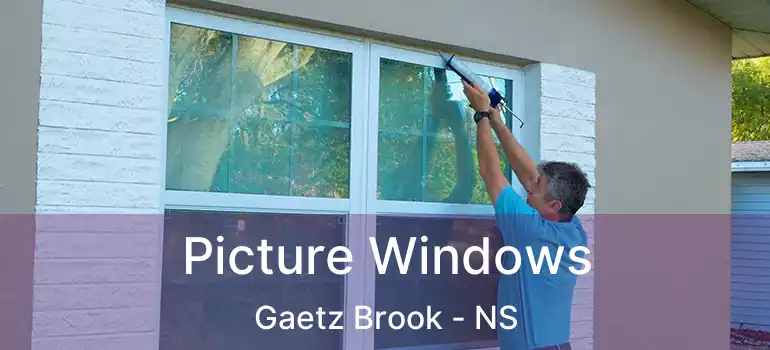  Picture Windows Gaetz Brook - NS