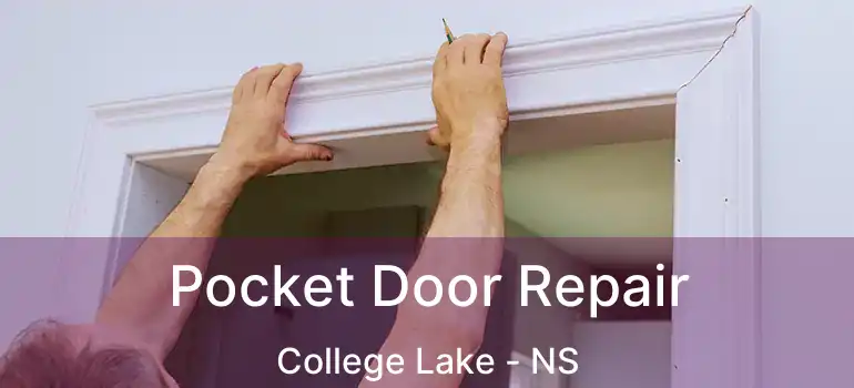  Pocket Door Repair College Lake - NS