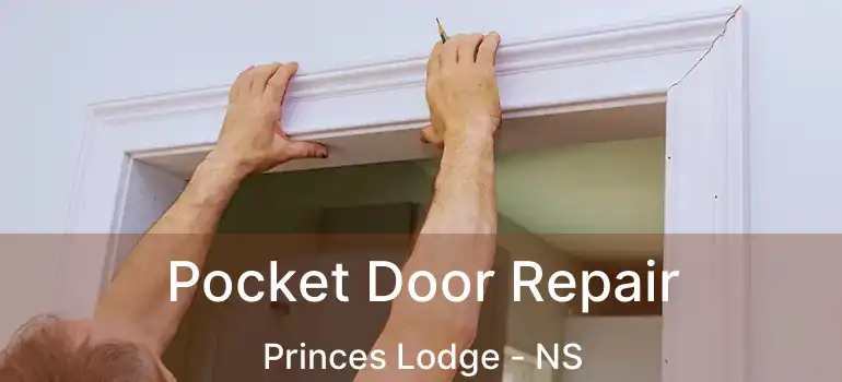  Pocket Door Repair Princes Lodge - NS