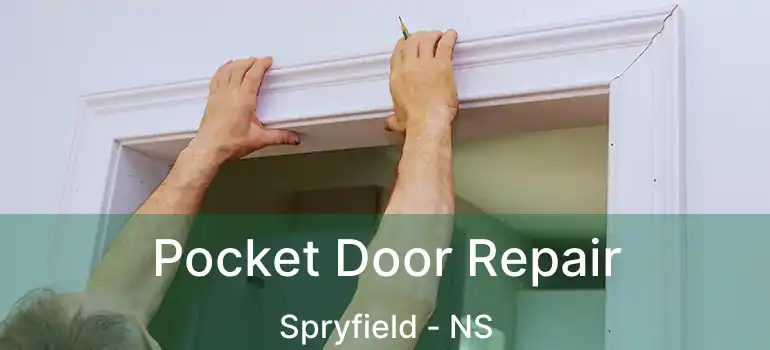  Pocket Door Repair Spryfield - NS