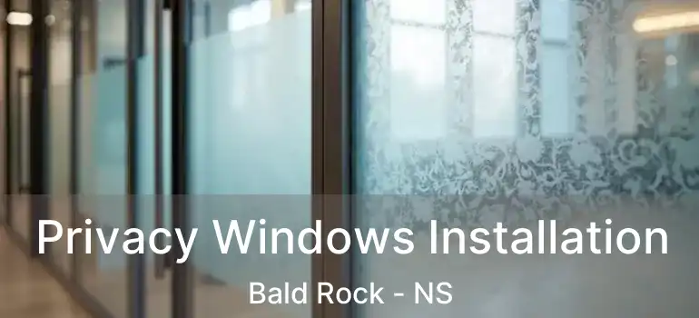  Privacy Windows Installation Bald Rock - NS