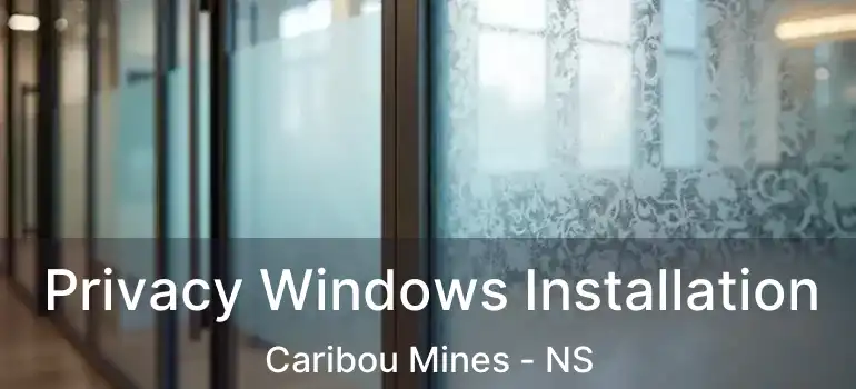  Privacy Windows Installation Caribou Mines - NS