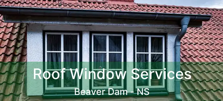  Roof Window Services Beaver Dam - NS