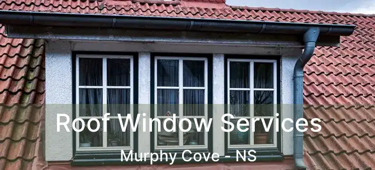  Roof Window Services Murphy Cove - NS