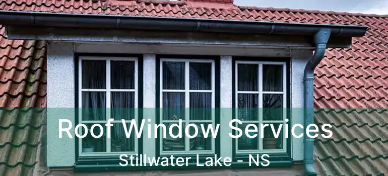  Roof Window Services Stillwater Lake - NS