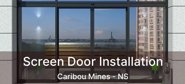  Screen Door Installation Caribou Mines - NS