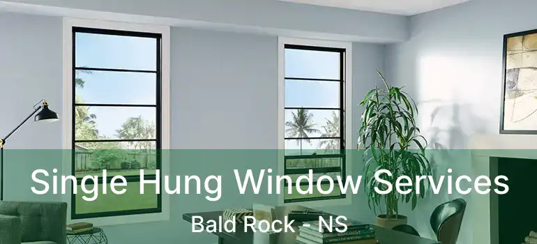  Single Hung Window Services Bald Rock - NS