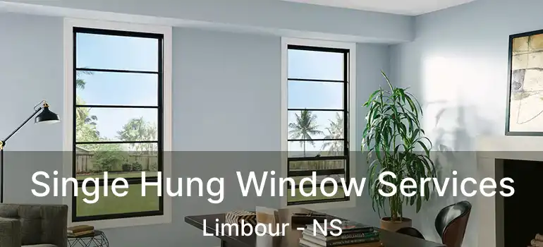  Single Hung Window Services Limbour - NS