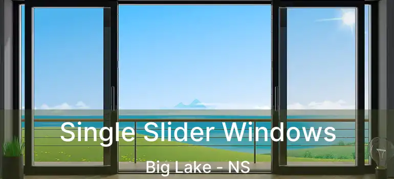  Single Slider Windows Big Lake - NS