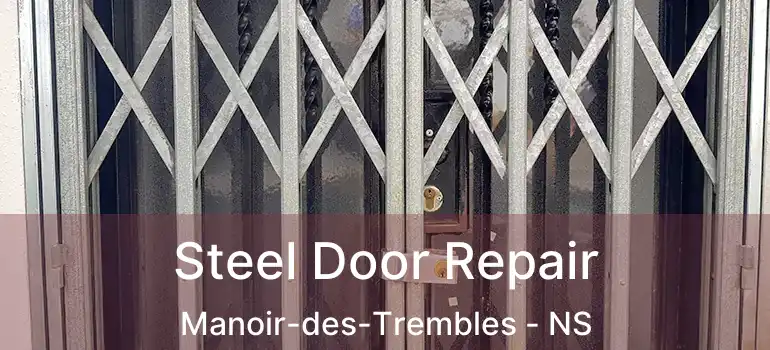 Steel Door Repair Manoir-des-Trembles - NS