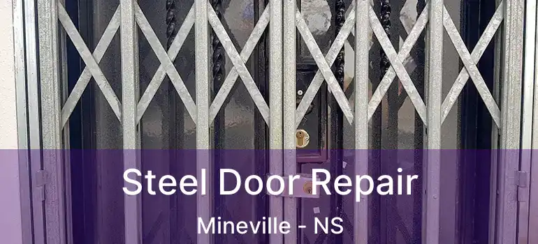  Steel Door Repair Mineville - NS