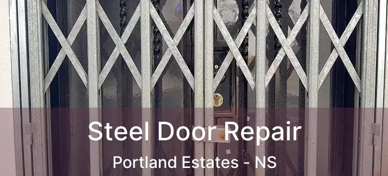  Steel Door Repair Portland Estates - NS