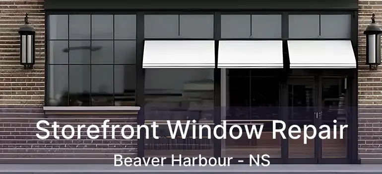  Storefront Window Repair Beaver Harbour - NS