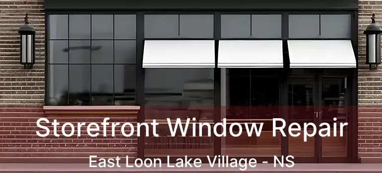  Storefront Window Repair East Loon Lake Village - NS