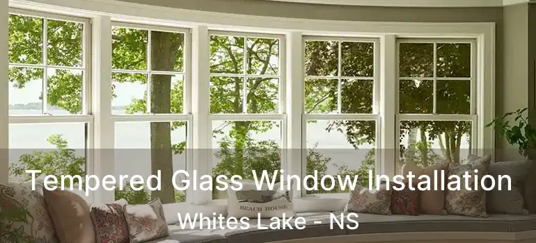  Tempered Glass Window Installation Whites Lake - NS