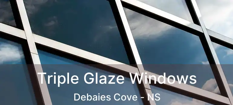  Triple Glaze Windows Debaies Cove - NS