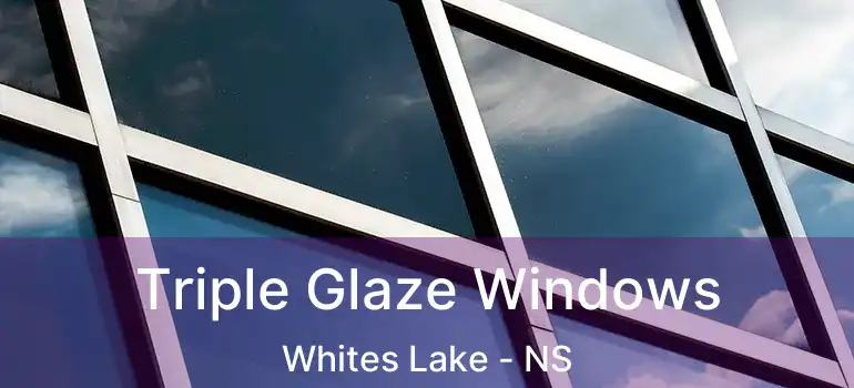  Triple Glaze Windows Whites Lake - NS