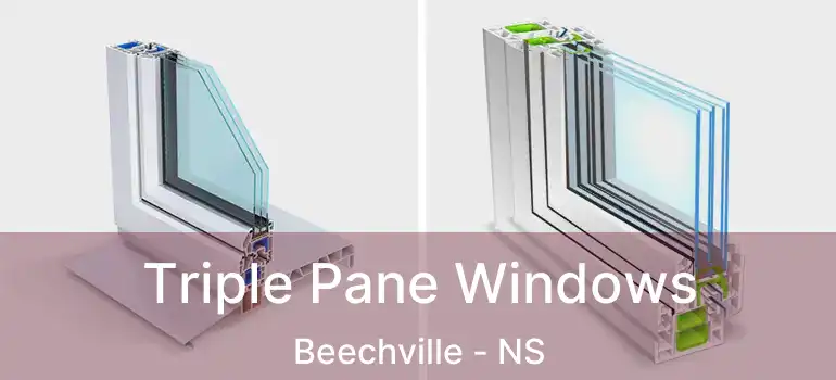  Triple Pane Windows Beechville - NS