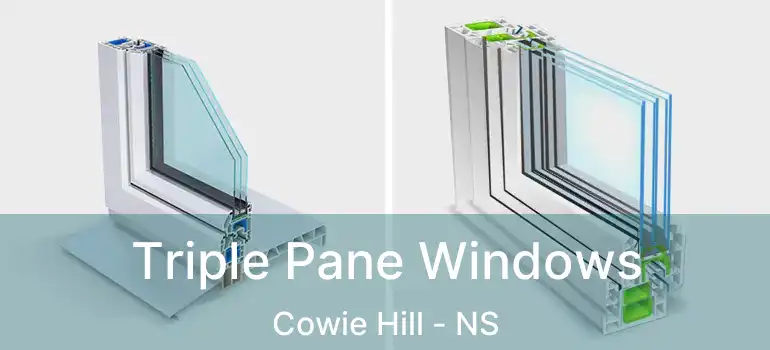  Triple Pane Windows Cowie Hill - NS