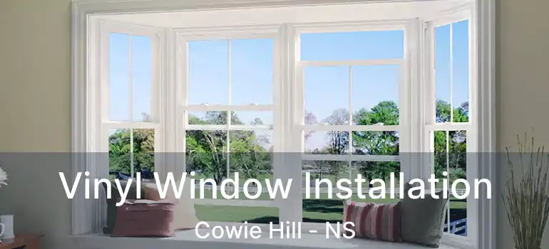  Vinyl Window Installation Cowie Hill - NS