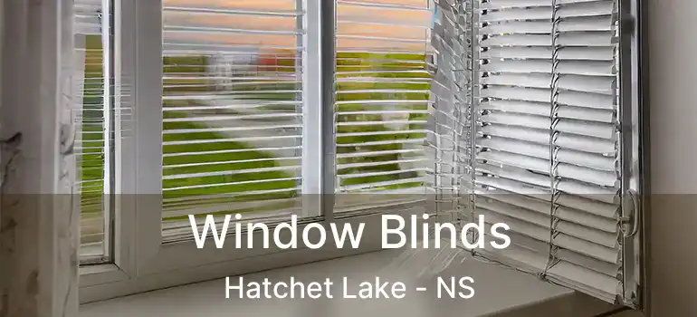  Window Blinds Hatchet Lake - NS