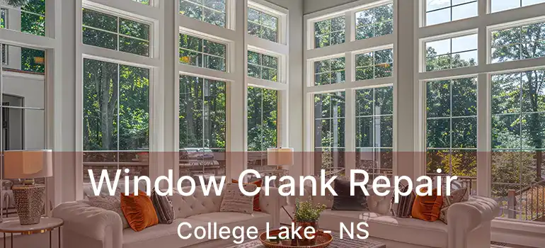  Window Crank Repair College Lake - NS