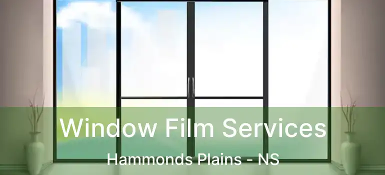  Window Film Services Hammonds Plains - NS
