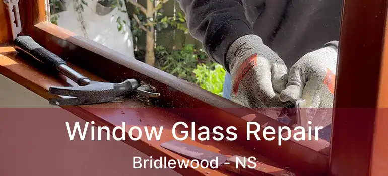  Window Glass Repair Bridlewood - NS