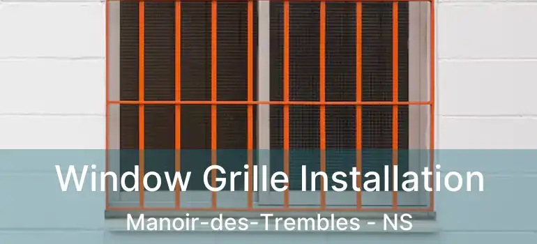  Window Grille Installation Manoir-des-Trembles - NS