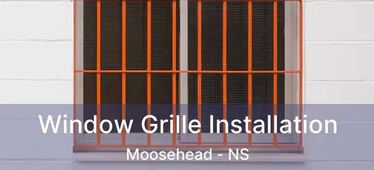  Window Grille Installation Moosehead - NS
