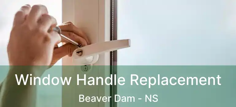  Window Handle Replacement Beaver Dam - NS