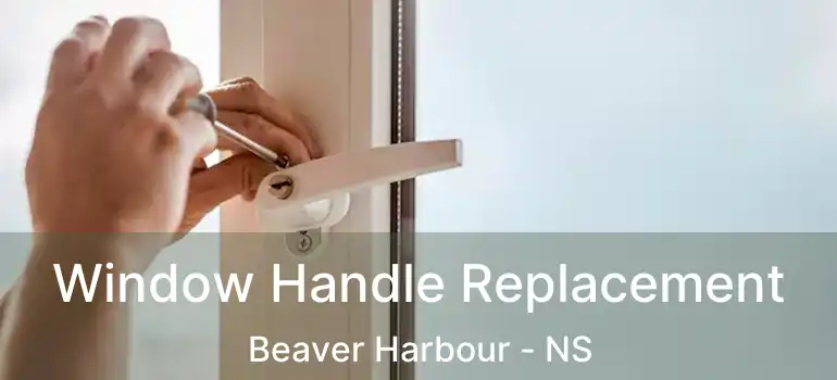  Window Handle Replacement Beaver Harbour - NS