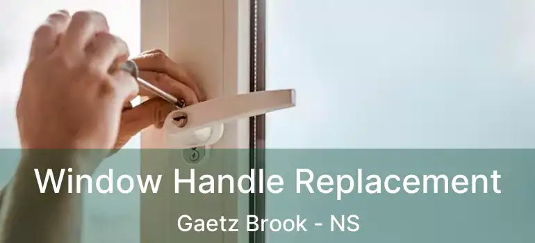  Window Handle Replacement Gaetz Brook - NS