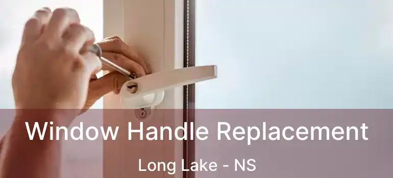  Window Handle Replacement Long Lake - NS