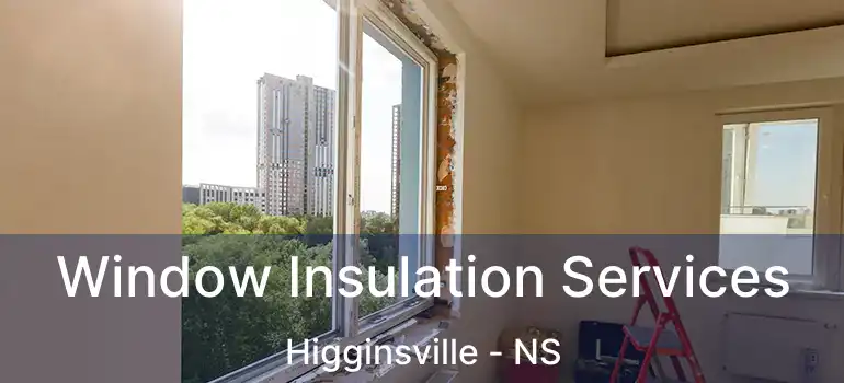  Window Insulation Services Higginsville - NS