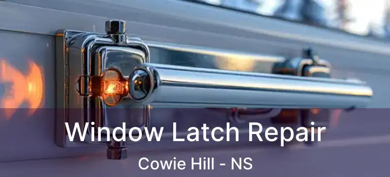  Window Latch Repair Cowie Hill - NS
