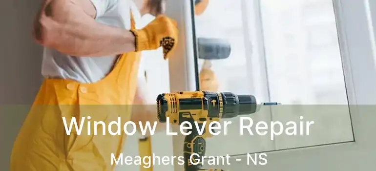  Window Lever Repair Meaghers Grant - NS