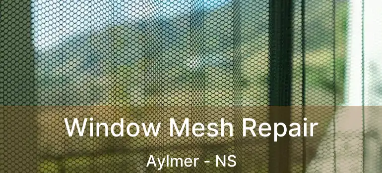  Window Mesh Repair Aylmer - NS