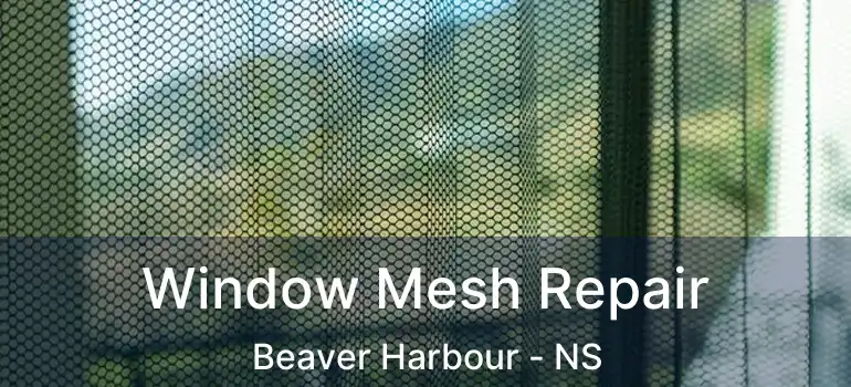  Window Mesh Repair Beaver Harbour - NS