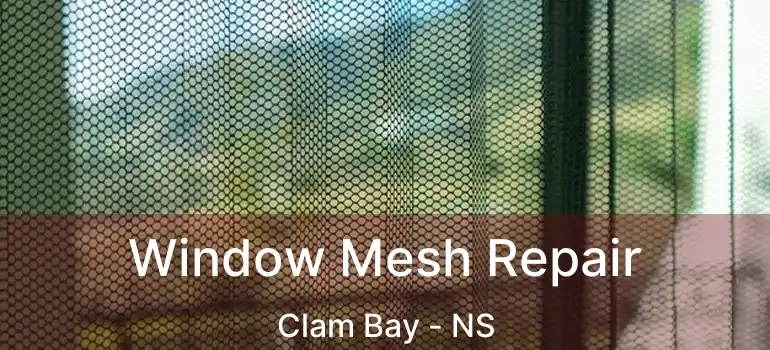  Window Mesh Repair Clam Bay - NS