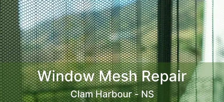  Window Mesh Repair Clam Harbour - NS