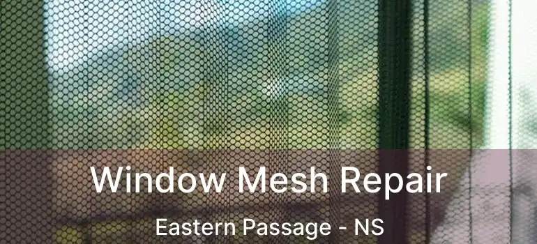  Window Mesh Repair Eastern Passage - NS