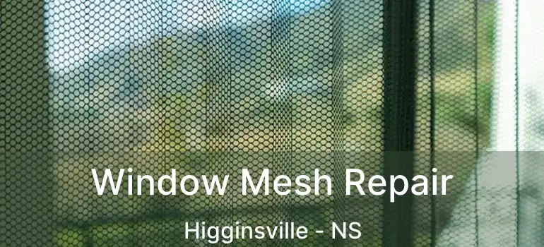  Window Mesh Repair Higginsville - NS