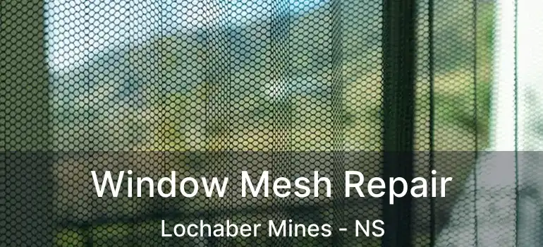  Window Mesh Repair Lochaber Mines - NS