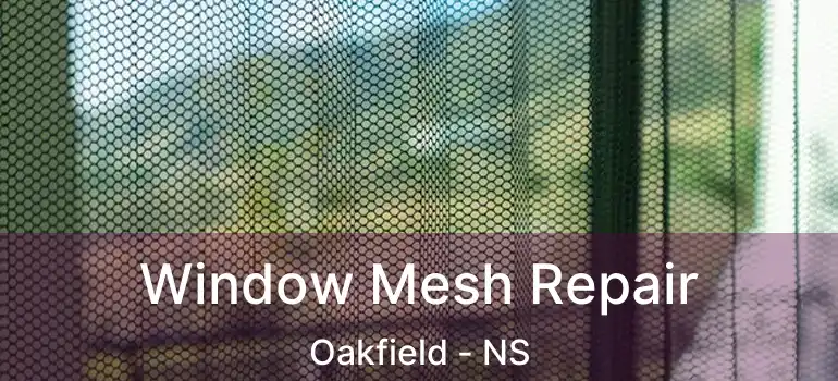  Window Mesh Repair Oakfield - NS